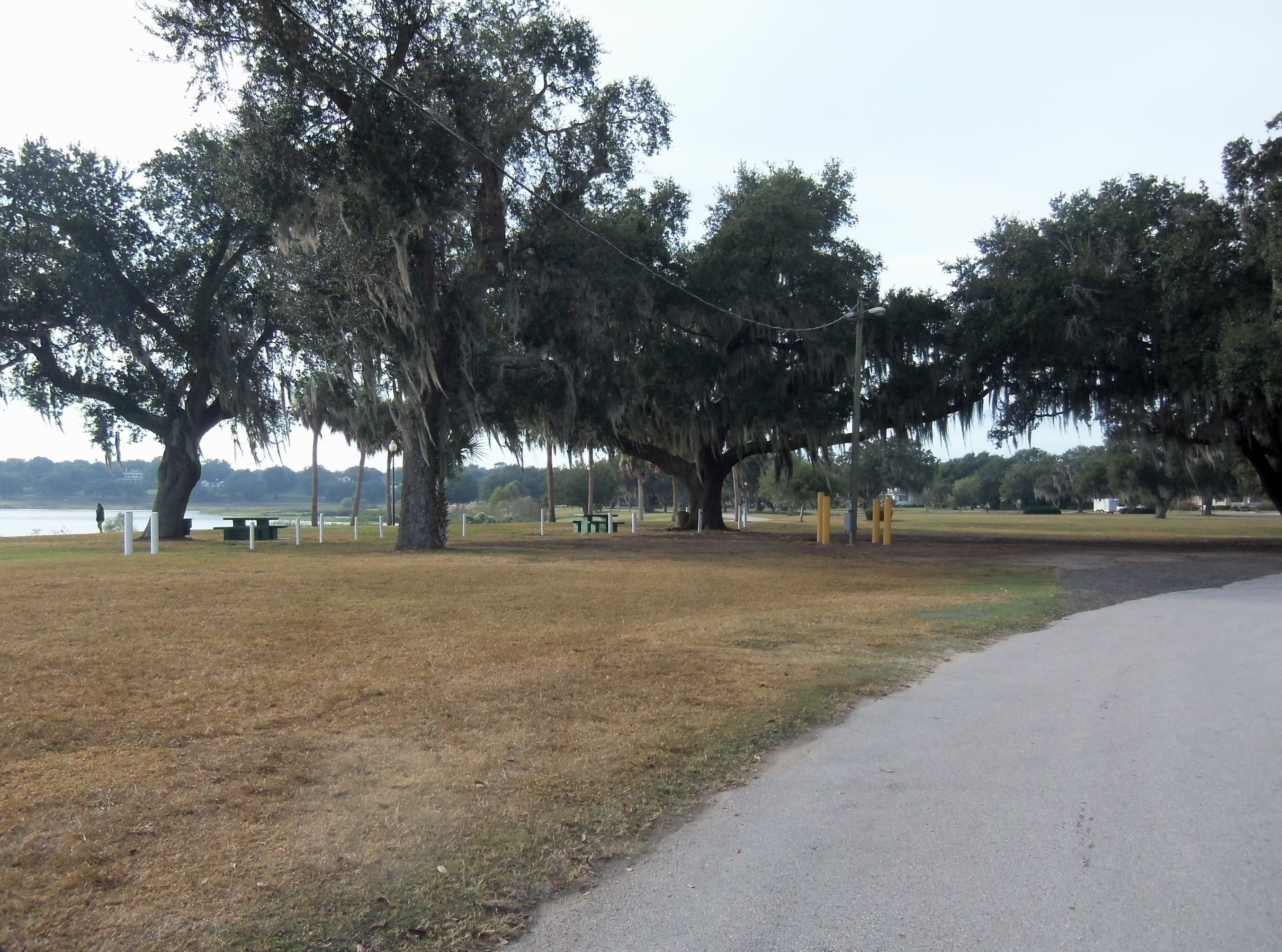 Benches with a View of the Water